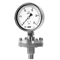 Diaphragm Seal Type Pressure Gauge P710, P720, P730